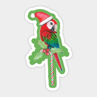 Green wing macaw Christmas style Sticker